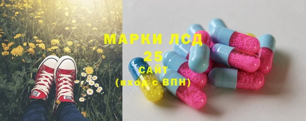сатива Беломорск