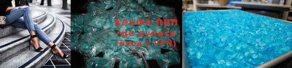 сатива Беломорск