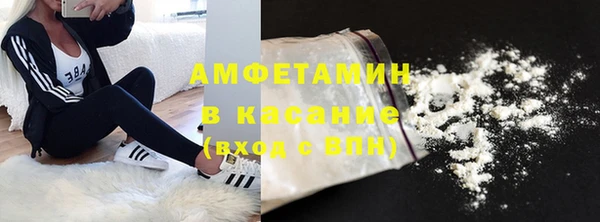 сатива Беломорск
