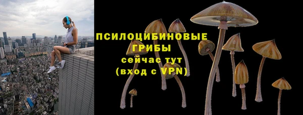 сатива Беломорск