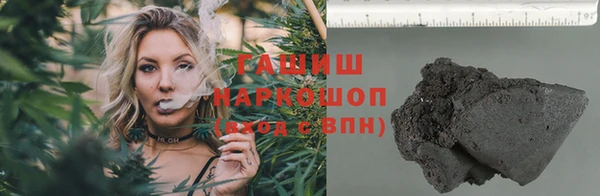 сатива Беломорск