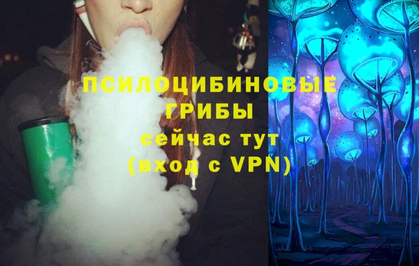 прущий лед Белокуриха