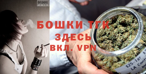 сатива Беломорск