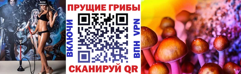 Галлюциногенные грибы MAGIC MUSHROOMS  сайты даркнета наркотические препараты  Чусовой  хочу наркоту 